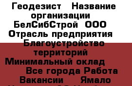 Геодезист › Название организации ­ БелСибСтрой, ООО › Отрасль предприятия ­ Благоустройство территорий › Минимальный оклад ­ 70 000 - Все города Работа » Вакансии   . Ямало-Ненецкий АО,Ноябрьск г.